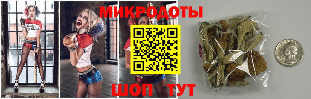 Галлюциногенные грибы прущие грибы Санкт-Петербург