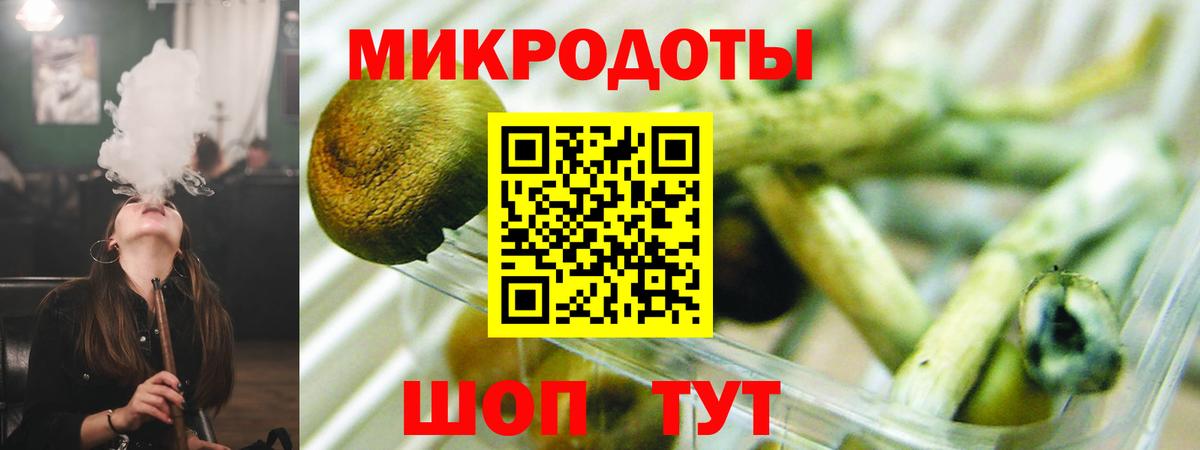 Санкт-Петербург  Галлюциногенные грибы прущие грибы  Вход с VPN 